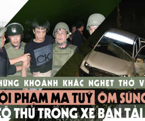 Ảnh minh họa