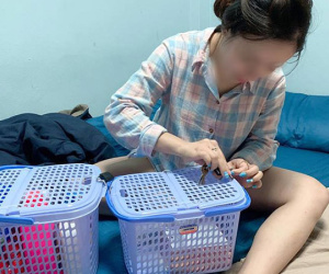 Dân mạng bùng nổ tranh cãi khi nữ sinh khóa hết đồ đạc trị bạn cùng phòng chuyên dùng 'ké'