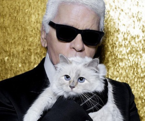 Mèo cưng của Karl Lagerfeld trở thành mèo giàu nhất thế giới với tài sản 3,4 triệu đô