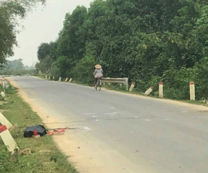 Nam thanh niên đi xe máy tử vong khi tông vào trâu đi bên đường