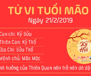Tử vi thứ 5 ngày 21/2/2019 của 12 con giáp: Tý có Thiên Tài trợ mệnh, Thìn mắc lỗi liên tục