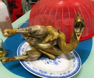 Gà cúng mà tạo hình kiểu như thế này thì đến tổ tiên cũng hãi hùng