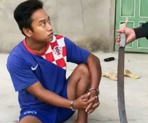 Vụ bác sĩ Chiêm Quốc Thái bị truy sát ở trung tâm Sài Gòn: Bắt nghi phạm cuối cùng