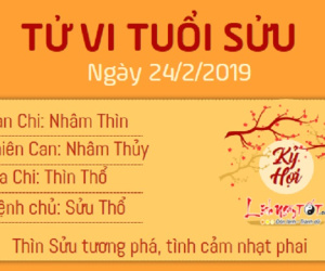 Tử vi Chủ nhật ngày 24/2/2019 của 12 con giáp: Dậu được quý nhân phù trợ, Mão bị phản bội