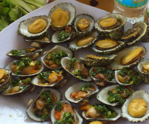 Bào ngư tiền triệu giảm giá mạnh