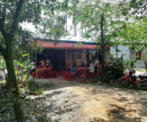 Đi lấy mật, chủ tịch hội chữ thập đỏ bị ong đốt chết