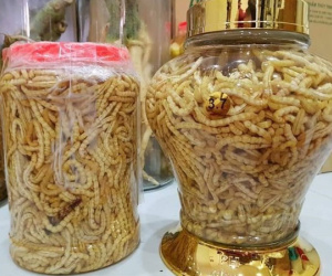 Sâu chít giá tiền triệu được các bà nội trợ đua nhau mua ăn để đẹp da