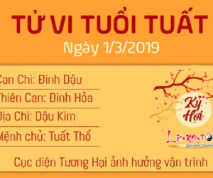 Tử vi thứ 6 ngày 1/3/2019 của 12 con giáp: Sửu tình thâm tài vượng, Tuất rạn nứt tình cảm