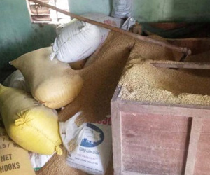 Mất 49 cây vàng ở Quảng Nam: Công an mời nhiều 'đối tượng' làm việc