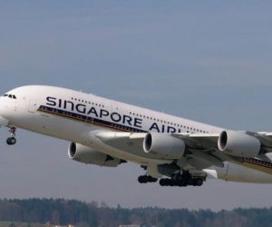 Phát hiện kinh dị trong bữa ăn trên máy bay Singapore