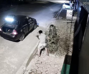 Bắc Giang: Đôi nam nữ đi xế hộp chung tay bê trộm cây đào rồi 'lặn' mất trong đêm khuya thanh vắng
