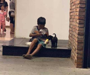 Câu chuyện về cậu bé đường phố chia sữa cho chú chó nhỏ khiến dân mạng suy ngẫm về giá trị của tình yêu thương