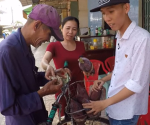 Ông cụ 83 tuổi lưng còng, rong ruổi đạp xe hơn 20km đi bán chuối để kiếm tiền nuôi vợ khiến nhiều người nhói lòng