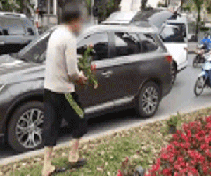Đề nghị trích xuất camera làm rõ vụ dân 'hôi' hoa trang trí sau thượng đỉnh Mỹ - Triều