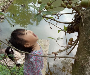 Ngắm bức ảnh cô bé tóc đuôi gà há miệng chờ sung suốt 15 phút vì tin lời chị, đảm bảo mẹ nào cũng tan chảy