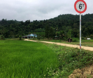 Chủ tịch xã lấy tiền nhà nước làm đường bêtông dẫn thẳng về nhà mình