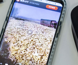 Thương lái Trung Quốc hào hứng với trào lưu livestream của nông dân
