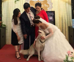 MC gọi nhà gái lên chụp ảnh cùng cô dâu, vậy là 'đại boss' chớp ngay cơ hội chiếm trọn spotlight