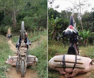 Anh chàng lái xe chở "cô bạn thân" bị ngã lộn nhào, dân mạng nhanh tay tag bạn vào với ý nhị đằng sau