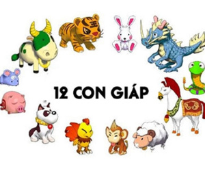 Tử vi 12 con giáp hôm nay: Ngọ nhận phần thưởng ngoài ý muốn, Dậu dễ gặp hạn