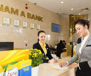 Chồng bà Tư Hường tố con trai chiếm giữ cổ phần Ngân hàng Nam Á