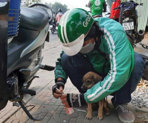 Bắt gặp ánh mắt ám ảnh của chú cún trơ xương bên vệ đường, anh tài xế Grab đã có một hành động hút vạn like