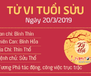 Tử vi thứ 4 ngày 20/3/2019 của 12 con giáp: Thân phát tài nhờ nghề tay trái, Hợi vướng tranh cãi ồn ào