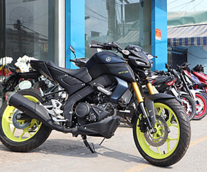 Yamaha MT-15 2019 - xe côn tay giá 79 triệu đầu tiên về Việt Nam