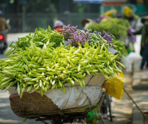 Dự báo thời tiết 21/3: Hà Nội nắng ấm trước khi đón không khí lạnh
