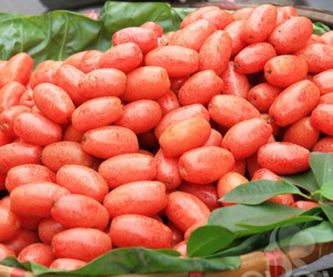 Giá cao gấp 8 lần, nhót Hà Nội đổ vào Nam