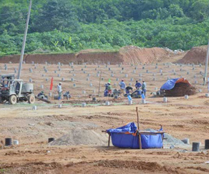 Phó tổng giám đốc điện mặt trời bị khởi tố vì đánh người