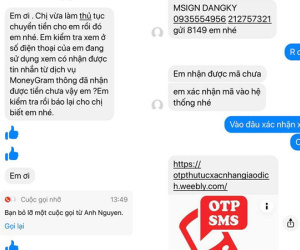 Chiêu lừa gây sốc: Mất trắng cả trăm triệu đồng sau vài cú click chuột vì tin khách mua hàng online