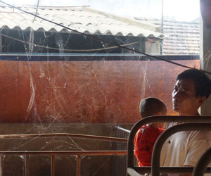 Dịch tả lợn 'nhốt' người chăn nuôi trong những chiếc cũi trống không: 'Nhìn ra khu chuồng giăng mạng nhện, phủ vôi trắng là tôi lại khóc'