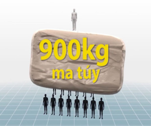 Video: Ba giai đoạn của chuyên án gần 900 kg ma túy