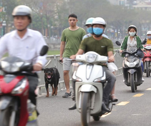 Video: Phố đi bộ mới xây trở thành đường cho xe máy phóng tốc độ cao