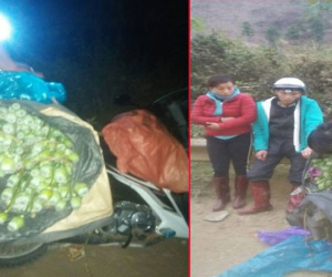 Hai vợ chồng đi xe máy mua 21,5 kg thuốc phiện tươi làm quà biếu