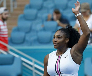 Serena rút lui khỏi Miami Mở rộng