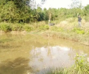 Hai học sinh đuối nước thương tâm dưới hồ tưới cà phê