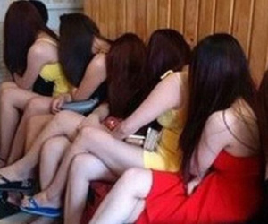 Nghệ An: U50 bán dâm cho nam thanh niên trẻ bị bắt