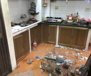 Nhìn căn bếp như hiện trường một vụ đánh nhau kinh hoàng, mẹ trẻ ngẩn ngơ khi phát hiện ra 'thủ phạm'