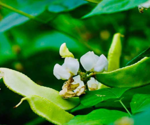 Cú sốc cô gái trẻ sau khi qua đêm cùng đại gia trong khách sạn
