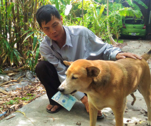 Chủ chú chó bán vé số ở Cà Mau bị điều tra hành vi dâm ô