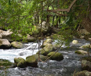 Đưa người yêu cũ vào nhà nghỉ, người đàn ông hành xử gây phẫn nộ
