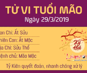 Tử vi thứ 6 ngày 29/3/2019 của 12 con giáp: Hợi may mắn gõ cửa, Dậu gặp phải tiểu nhân