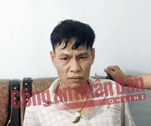 Ảnh minh họa