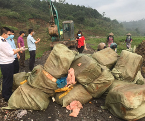 Phát hiện 1.620 kg nầm lợn đông lạnh không hóa đơn chứng từ