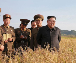 Chosun Ilbo: Dự trữ lương thực Triều Tiên không đủ dùng 1 năm