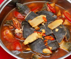 Món ăn từ 'thủy quái' giúp tăng số lượng 'tinh binh'
