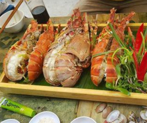 Tôm hùm Mỹ bay nửa vòng trái đất về Việt Nam được bán rẻ như gà, vịt