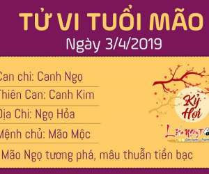Tử vi thứ 4 ngày 3/4/2019 của 12 con giáp: Ngọ có cơ hội thăng tiến, Thân tranh cãi với đồng nghiệp
